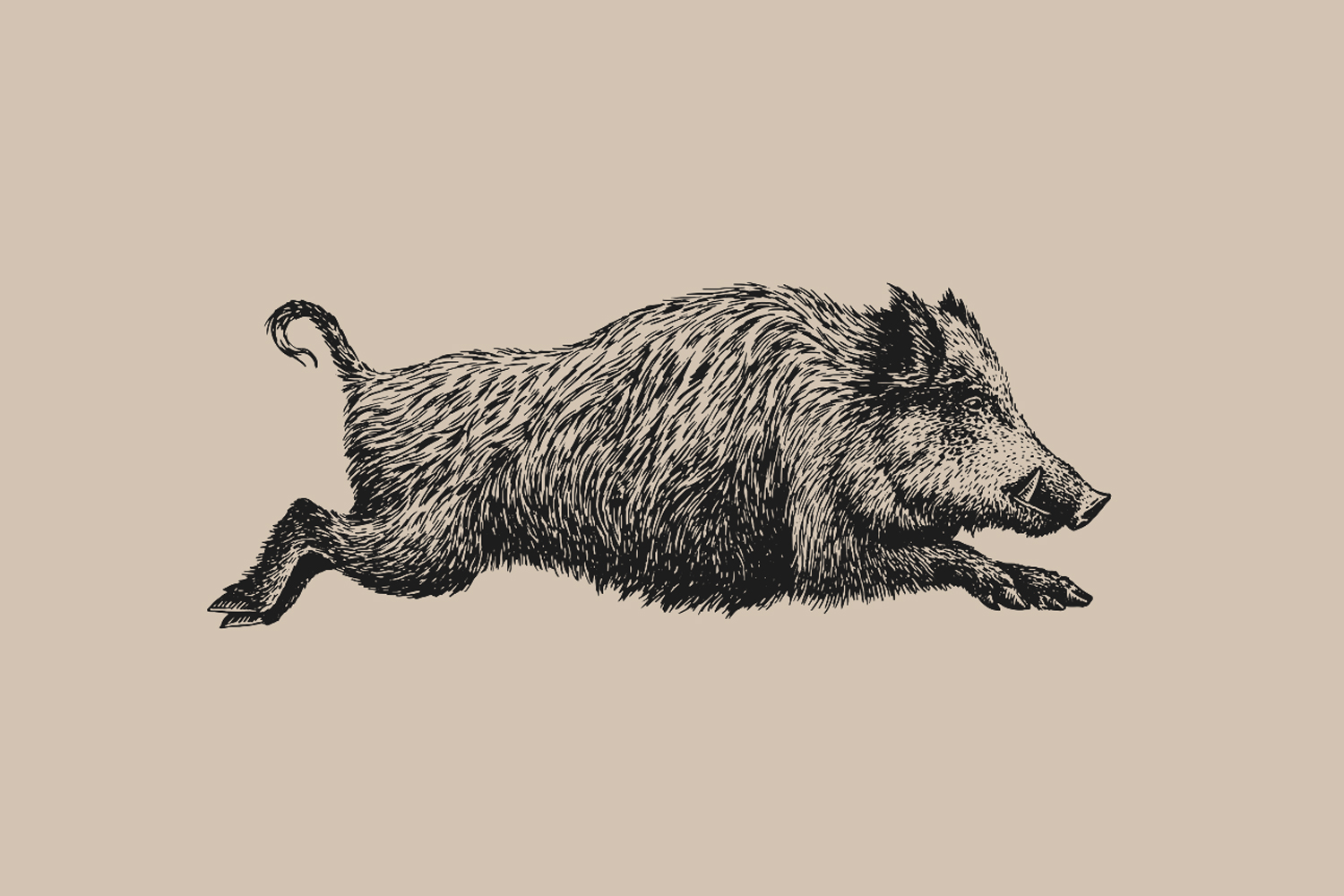 Boar tattoo — meaning, symbolism, and history
