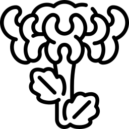 Icon: chrysanthemum