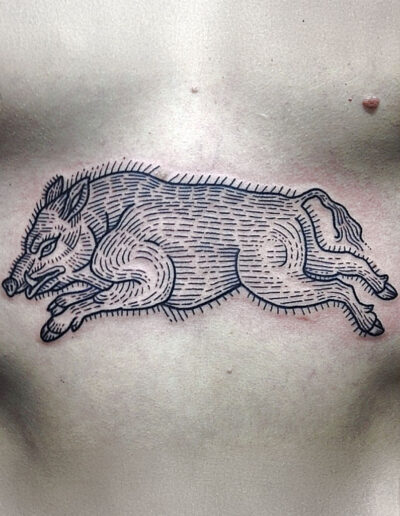 Wild pig (boar) tattoo by Susanne König @suflanda