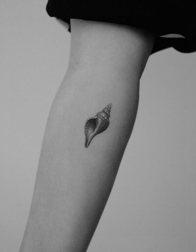 Microrealism shell tattoo by Piotr Indulski @piotrindulski